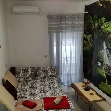 Tropical Paradise In The City Centre! 塞萨洛尼基
