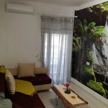 Tropical Paradise In The City Centre! *